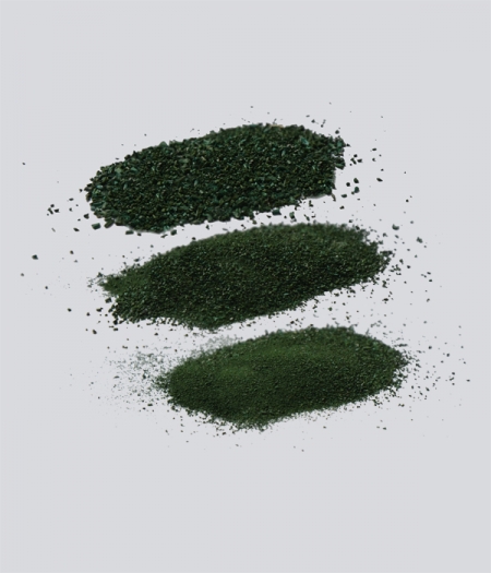 Ecospirulina